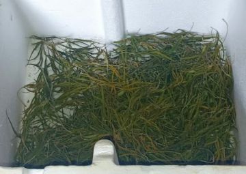 ��������� ������� ��������� ��������� �����