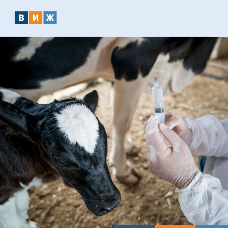 �������� � ���������������� ������������ � ������ ��������������� � ����������������