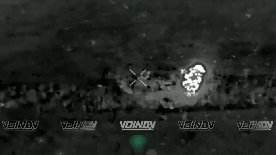 ������ ���������� ���� 35 ����� ����������� ����� "������" �� ����������� ���� � ����� ���� ���������� �� ����������� �����������