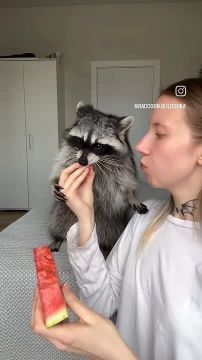 ������ ����, ������! �������� ��� ��� � ��������� ����������!