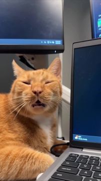 ����� � ��������� �������. ��������� ����� �� ������ ����� ������ ��������