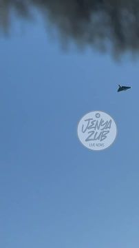 ������� ������ �� ���������� ������� 10 ����� - 11 ����� 2026 ����