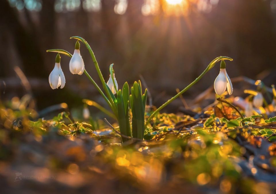 ������ ����. � �� �����, ��� �������