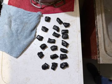 � ��������� ���������� ��������� ���� � ��������� ���������, �������������� � ��������� �� ���� ������������� ������� � ����� ������� �������