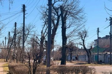 �����, ��� � ������: ����� ����� ������ � ����������� ������� 12 ����� 2026 ����