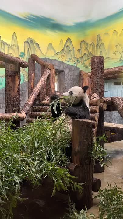 ����� ��� �� ����������� �������� ���������� ���, ��� ���� �� ������������