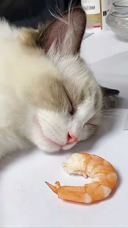 ����� ������� ����. �����������, ���������� � ������ �� ������