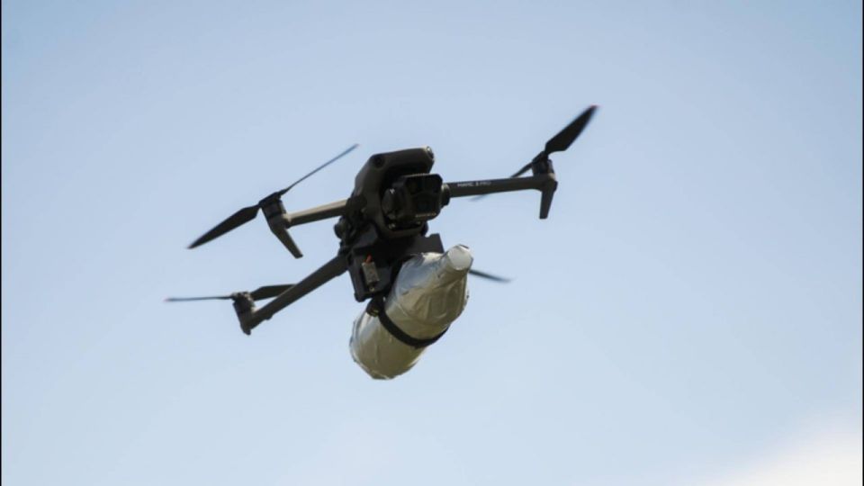 ��� ��������� ���������� ������ ������, � ������� ����� ���� ���������� �����������