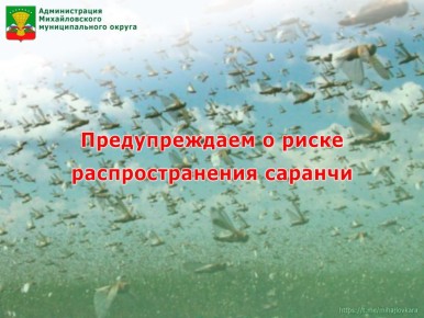 ������������� ������������� �������������� ������ ������������� � ����� ��������������� �������