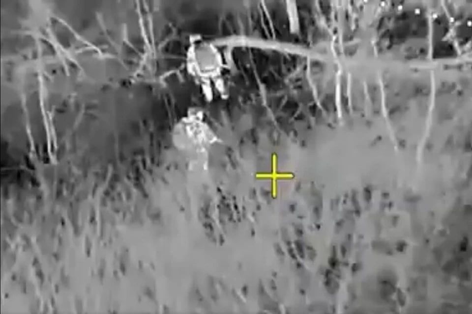 ��� ������ ������� ���� ������� ���������� ��� � ����������� �������