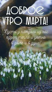 � ������ ����� ������������