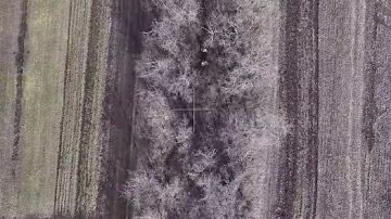 ��������� �� ���� ����������� �������� ��� � ����������� �������