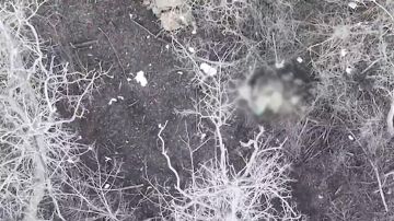 ���������� �� ������. ��������� ���� ����������� ����� ������� �������� ������� ������� ����������� ��� � ����������� �������