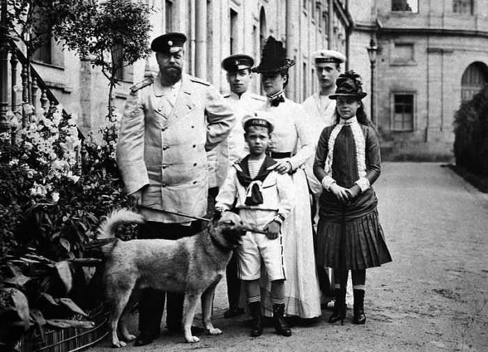 ���� ���� � ������� ������ 13 �����