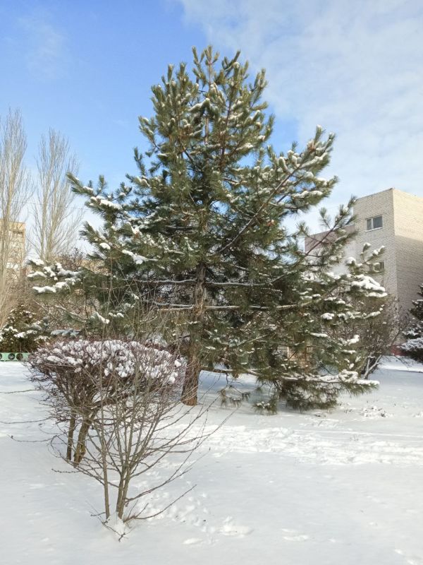 ������� ����, ������,� ��� ������! ������ ��� �������� ���� �������! ������ ������ �� ���������� Ѡ ������� ������ �� ��� ��� ������