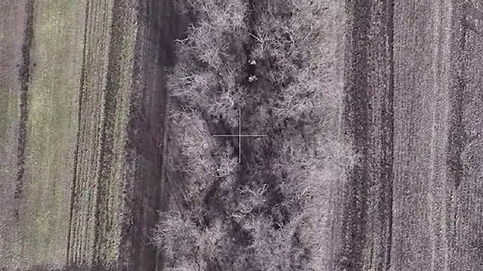 ��������� �� ���� ����������� �������� ��� � ����������� �������