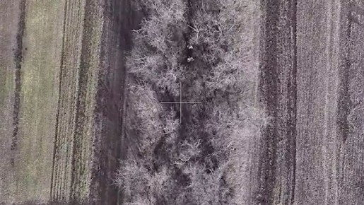 ��������� �� ���� ����������� �������� ��� � ����������� �������