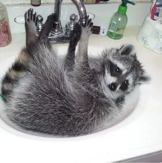 ������ ����, ������! �������� ��� ��� � ��������� ����������!