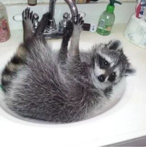 ������ ����, ������! �������� ��� ��� � ��������� ����������!