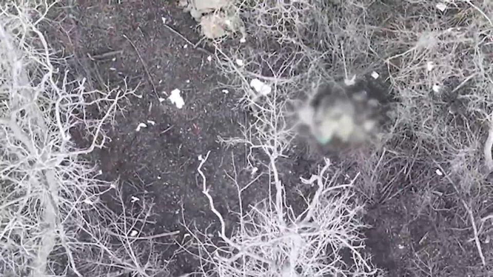 ���������� �� ������. ��������� ���� ����������� ����� ������� �������� ������� ������� ����������� ��� � ����������� �������