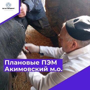 � ���������� ������� ��� �� "��������" �������� �������� �������� ��������������������� ����������� (���������������)