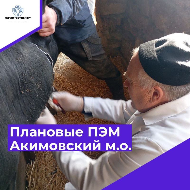 � ���������� ������� ��� �� "��������" �������� �������� �������� ��������������������� ����������� (���������������)