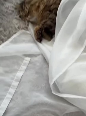 ��� � �����. ����� �������� �� ����� ������ � ������ �������� ��������