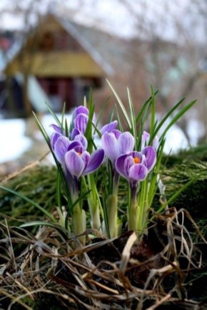 ������ ����!