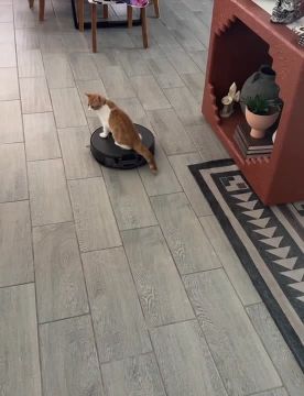 Врываемся в выходные. А какие у вас планы на этот день? Подписывайтесь на Запорожский вестник в MAX, Telegram и ВКонтакте и делитесь с близкими