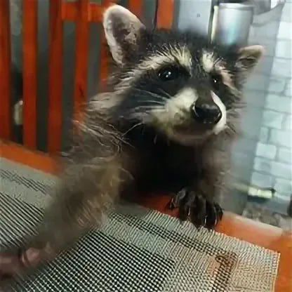 ������ ����, ������! �������� ��� ��� � ��������� ����������!