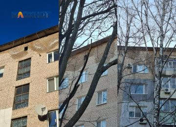 ���� �� �� ������: ���������� ���� � ������������ �� ����� �������� ������� �����