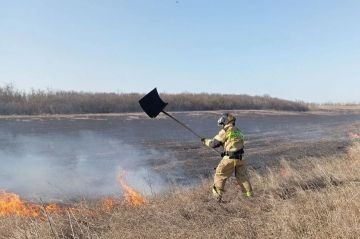 За сутки в Запорожской области спасатели справились с 16 пожарами