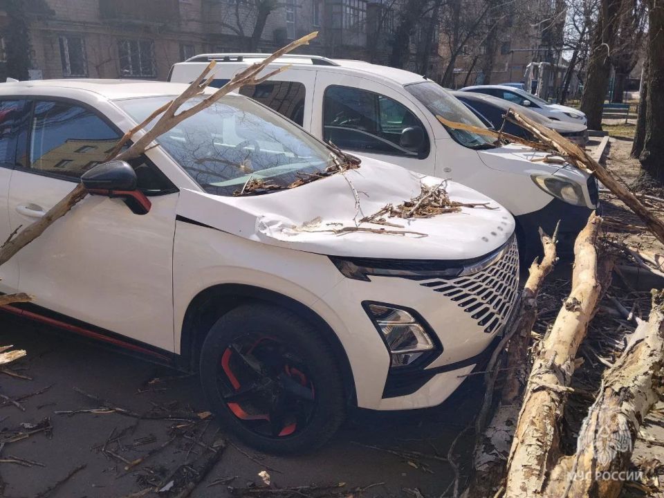 Владимир Рогов: На Запорожье разгулялась стихия