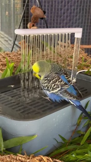 ���� �����������. �������� � ���� � �������� ����