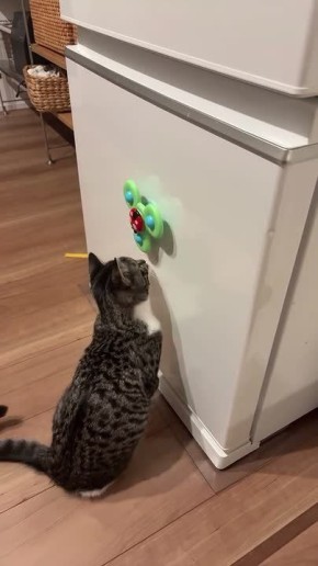 ��� � ��������� ��������. � ��� �� ���������� � ��������� �����? �������������� �� ����������� ������� � MAX, Telegram � ��������� � �������� � ��������