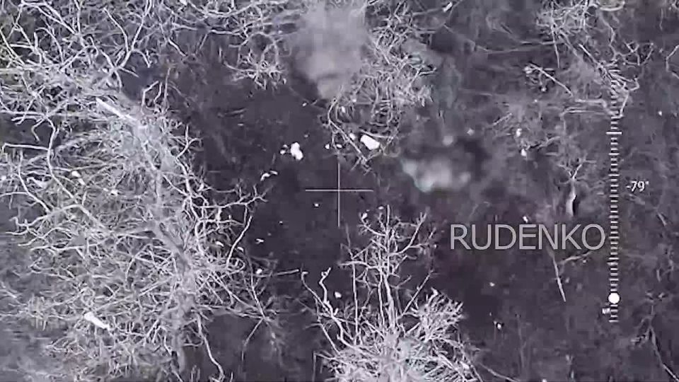 ������ �������: ��������� ���� ����� ����������� ������ ��� ������� �������� ������� ������� ������������ ����� ��� � ����������� �������