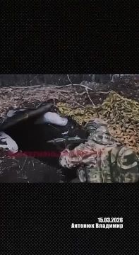 ��������� �������: ������ ��� ��� �������� �������, ����������� �������� � ���� ��� �� ����������� �����