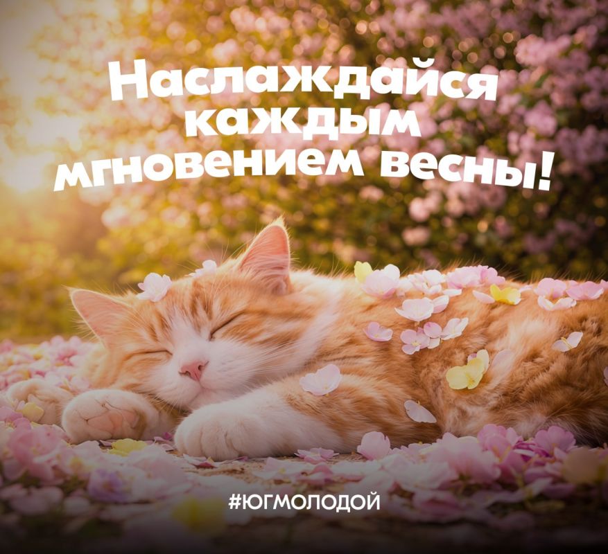 ������� �����������:. #��������� � ���� ������ ����!