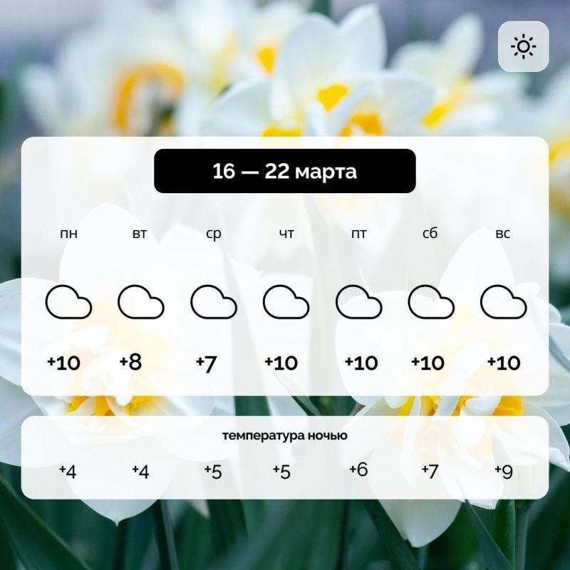 ������ � ����������� ������� �� 16 � 22 �����