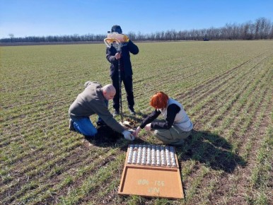 � ����������� ������� ������� ������ �������� ������������ ����