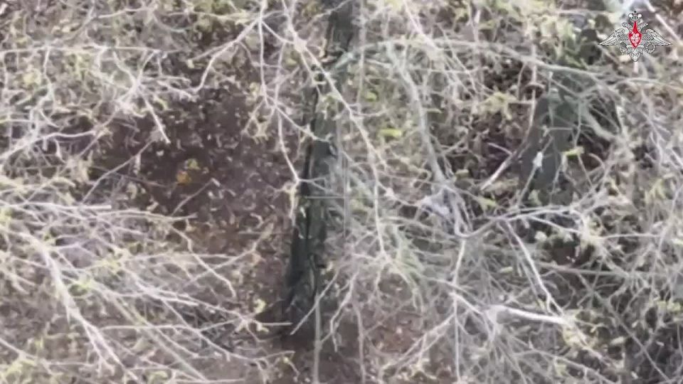 ���������� ������: ������� ��������� ��������-ѻ ����������� ������� ���������� �� ������ ���������� ���� ���������� � ��������� ��������� ����������� ������ ����������� � ����������� �������