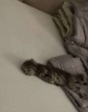 День пролетел. Заслуженный отдых после насыщенного понедельника