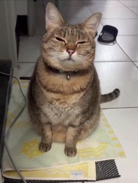 Новая неделя началась. Когда ты встал, но ещё не проснулся