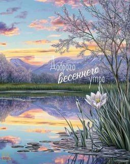 � ������ ����� ������������