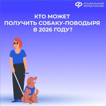 Кто может получить собаку-поводыря