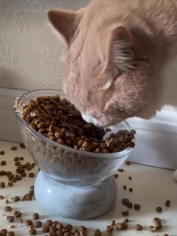 � ��� � �������. ������ ���������� � ������ �� ������