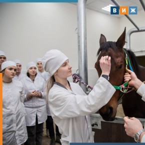 ����������� � ��������� ����� � ������ ������������ ��������� ��������