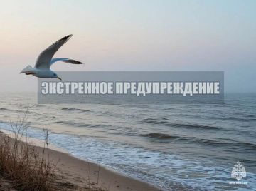 ���������� ��������������. ����� 17-18 ����� �� ��������� ���� ��������� ������� �����, ��������� 0,5-1,0 ��. ���������� ����� � ���� 18 �����