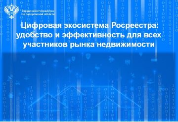 Цифровая экосистема Росреестра: удобство и эффективность для всех участников рынка недвижимости