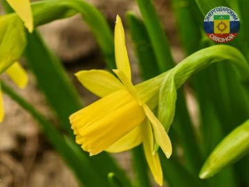 С добрым утром! Пусть наступающий день принесёт вам много счастья, тепла и любви